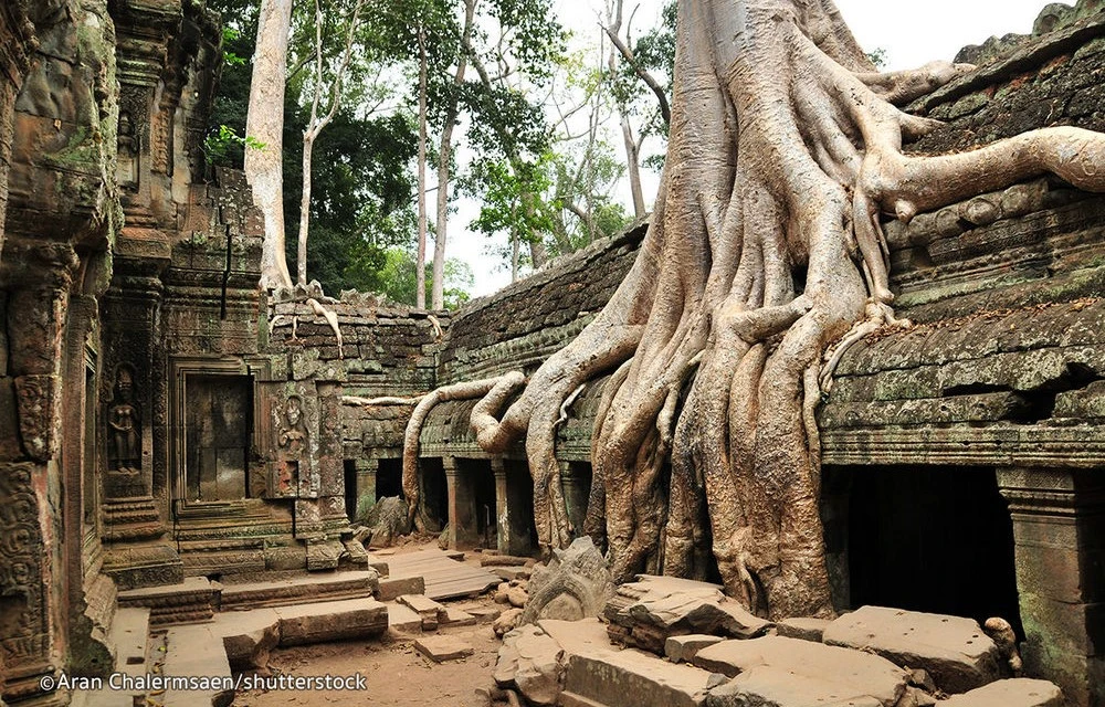 Ta Prohm Siem Reap